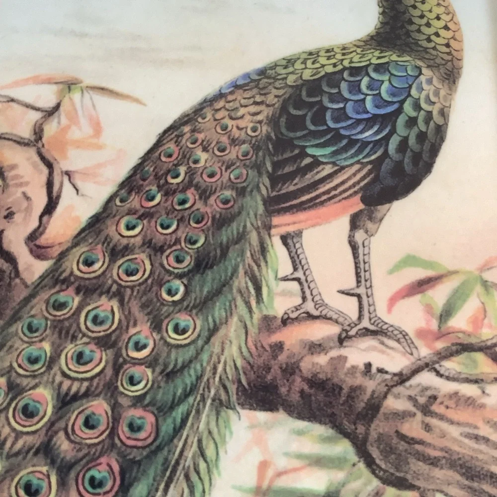 Pottery Barn Peacock Design Melanine Tray